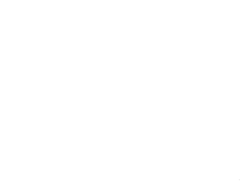 Câu chuyện WINNEO